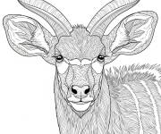 Coloriage Nyala r&eacute;aliste