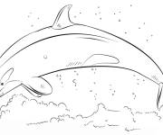 Coloriage Orque sautant r&eacute;aliste