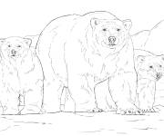 Coloriage Ours polaire avec ses petits r&eacute;aliste