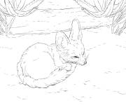 Coloriage Petit Fennec dans le d&eacute;sert