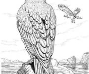 Coloriage Sc&egrave;ne de Aigle r&eacute;aliste