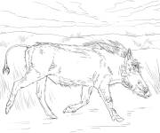 Coloriage Sc&egrave;ne de Phacoch&egrave;re dans la nature r&eacute;aliste