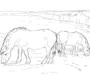 Coloriage Sc&egrave;ne de poneys r&eacute;aliste