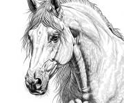 Coloriage Un cheval en style r&eacute;aliste