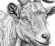 Coloriage Un ch&egrave;vre en style r&eacute;aliste