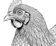 Coloriage Un poulet r&eacute;aliste