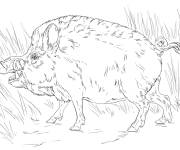 Coloriage Un sanglier r&eacute;aliste