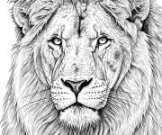 Coloriage Visage du lion r&eacute;aliste