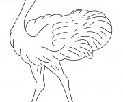 Coloriage Autruche avec les yeux ferm&eacute;s