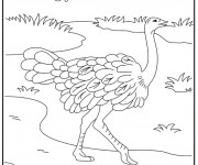 Coloriage et dessins gratuit Autruche dans la nature à imprimer