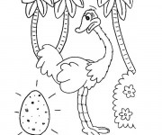 Coloriage Autruche et Oeuf