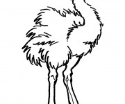 Coloriage Autruche furieuse