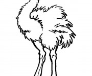 Coloriage Autruche mal &agrave; l'aise