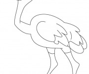 Coloriage Autruche souriante simple