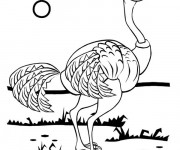 Coloriage Autruche sous le soleil