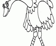 Coloriage Autruche te regarde
