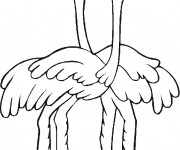 Coloriage Deux Autruches s'amusent