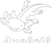 Coloriage Affiche sur le th&egrave;me de Axolotl