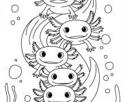 Coloriage Amis Axolotl