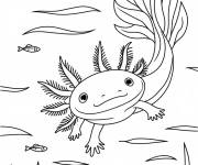 Coloriage Aventure d'Axolotl