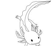 Coloriage Axolotl