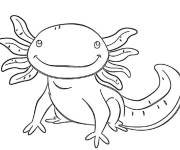 Coloriage Axolotl &agrave; compl&eacute;ter ps