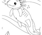 Coloriage Axolotl adorable en nageant