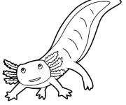 Coloriage Axolotl adulte facile