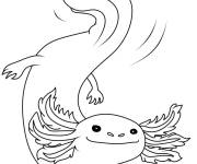Coloriage Axolotl aimable