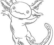 Coloriage Axolotl amical