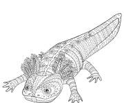 Coloriage Axolotl anti-stress