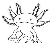 Coloriage Axolotl au crayon