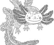 Coloriage Axolotl aux branchies complexe