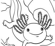 Coloriage Axolotl avec le sourire sur le visage