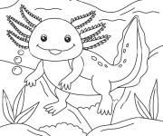 Coloriage Axolotl de bande anim&eacute;