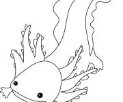 Coloriage Axolotl de l'eau