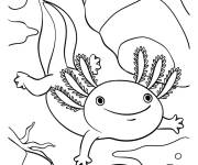 Coloriage Axolotl d&eacute;couvre le fond de l'&eacute;tang