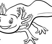 Coloriage Axolotl des animaux marins