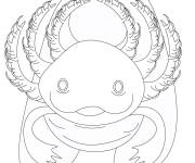 Coloriage Axolotl d&eacute;taill&eacute;