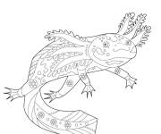Coloriage Axolotl d&eacute;taill&eacute; cp