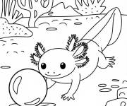 Coloriage Axolotl en jouant avec le ballon