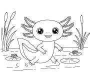 Coloriage Axolotl en marchant sur le lac