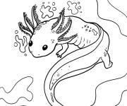 Coloriage Axolotl en mouvement