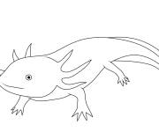 Coloriage Axolotl en nageant