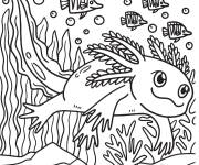 Coloriage Axolotl en nageant parmi les poissons