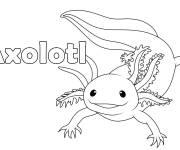 Coloriage Axolotl en noir et blanc