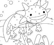 Coloriage Axolotl en noir et blanc cp