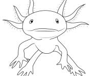 Coloriage Axolotl en portrait