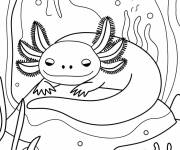 Coloriage Axolotl en se relaxant