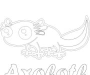 Coloriage Axolotl en style vectoriel